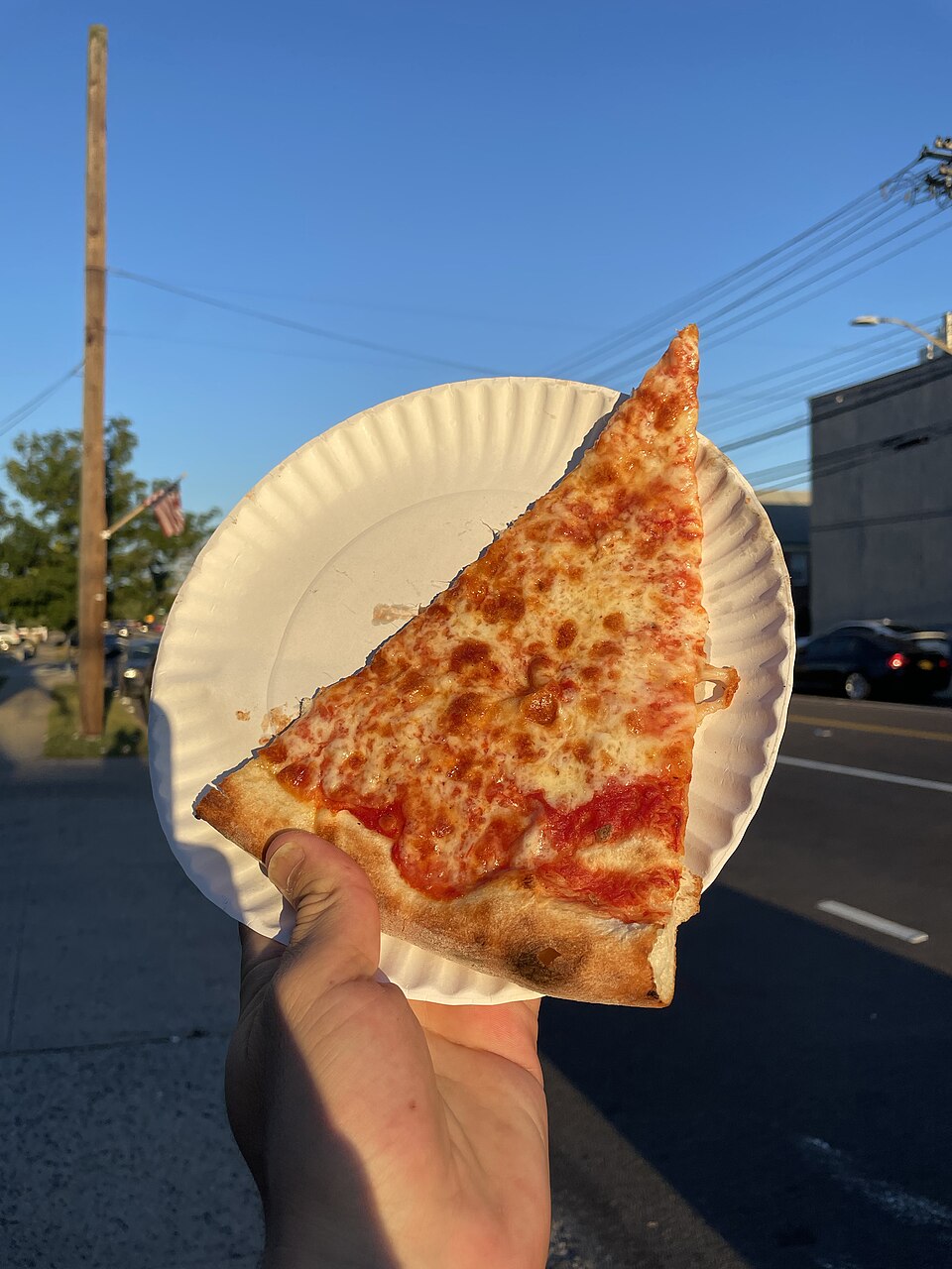 New York Style Pizza New Park